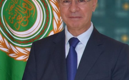 الجامعة العربية والأمم المتحدة تناقشان آخر مستجدات القضية الفلسطينية لتعزيز الدعم الدولي
