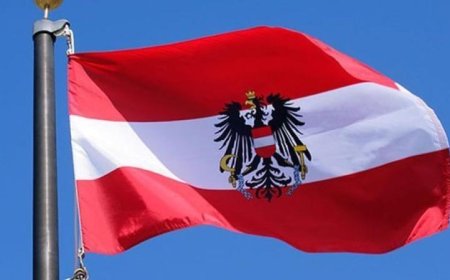 النمسا تحقق انتصاراً دبلوماسياً وتحصل على مقعد في مجلس الأمن الدولي