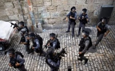 مستوطنون يشعلون النيران في أراضي برقا والاحتلال الإسرائيلي يقتحم بلدة سنجل