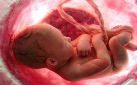 تحسين التغذية يعزز صحة المواليد الجدد ويوفر لهم بداية صحية