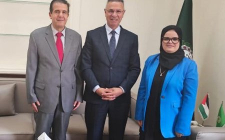 الجامعة العربية والاتحاد الأفريقي يناقشان التطورات الأخيرة في القضية الفلسطينية