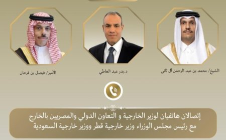 وزير الخارجية يناقش هاتفياً مع نظيريه السعودي والقطري تطورات الأزمة الإيرانية
