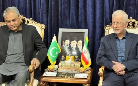 وزير الداخلية الباكستاني والإيراني يتعاونان لتعزيز جهود خفض التوترات الإقليمية