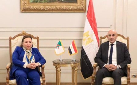 وزير التربية والتعليم يبحث آفاق التعاون مع وزيرة التكوين والتعليم الجزائرية