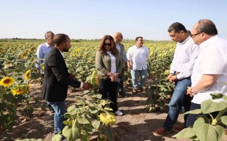 وزيرة التنمية ومحافظ البحر الأحمر ورئيس تنمية الصعيد يزورون مشروع الجوجوبا لتعزيز التنمية المستدامة