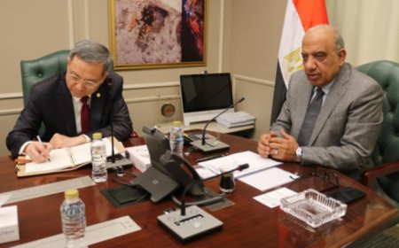 وزير الكهرباء يعقد مباحثات مع مستثمرين صينيين لتعزيز التعاون في مجال الطاقة المتجددة