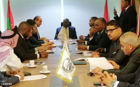 التجاني يؤكد أن السودان يتقدم بقوة نحو استعادة الأمن وتعزيز التنمية المستدامة