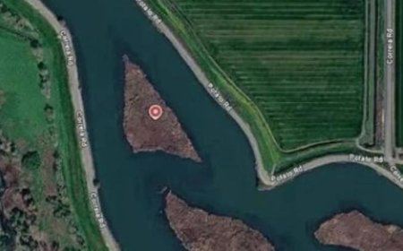 جزيرة أمريكية جميلة للبيع بسعر مغري يبلغ 39 ألف دولار