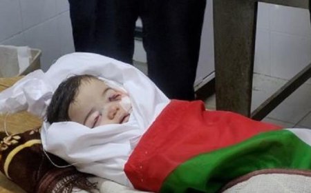 الخارجية الفلسطينية تدعو لمحاسبة الاحتلال بعد إعدام الرضيع سام أبو هيكل