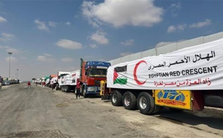 انطلاق الدفعة الـ209 من شاحنات المساعدات الإنسانية إلى قطاع غزة