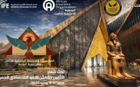 مصر تتولى رئاسة المنظمة الإفريقية للتأمين لعامي 2026-2027 بعد إثيوبيا