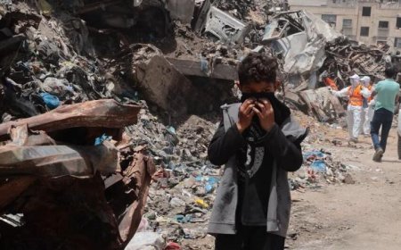 تحذير أممي من تدهور البيئة في فلسطين وتأثيره على الصحة والتنمية