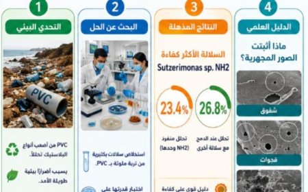 فريق بحثي من جامعة علوم القاهرة يحقق إنجازًا في استخدام البكتيريا لتحليل البلاستيك الملوث بفعالية