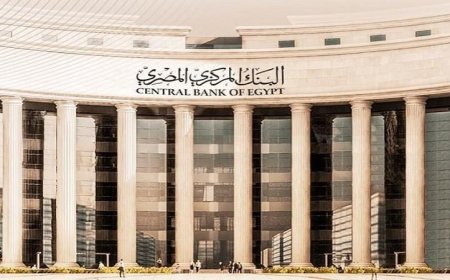 البنك المركزي يعلن عن زيادة الاحتياطي النقدي الأجنبي إلى 53.134 مليار دولار بنهاية مايو