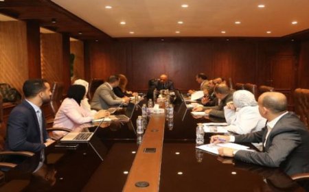 وزير الكهرباء يناقش مع نكسوس انالاتيكا تطوير الأطر التنظيمية لسوق الطاقة الكهربائية