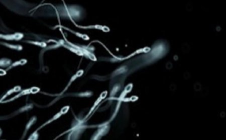 تأثير التوتر على نمو الأطفال وكيف يؤثر على صحتهم النفسية