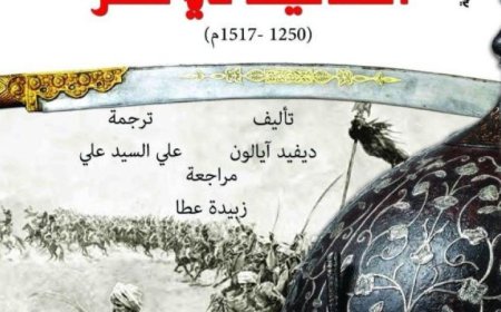 دراسات جديدة تكشف أسرار المماليك في مصر وتحليل شامل للدولة والمجتمع