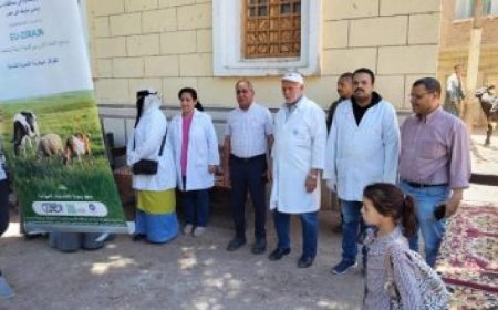 وزير العمل يقوم بجولة في مصنع ليوني ببدر لاستكشاف خطط التوسع وتوفير فرص عمل جديدة