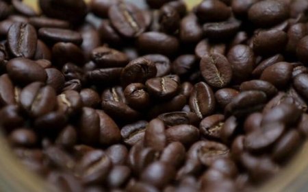 عائدات صادرات البن في أوغندا تتراجع بنسبة 10% خلال أبريل 2023
