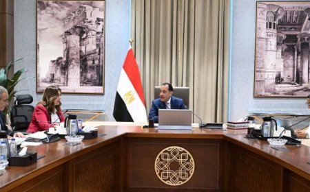 رئيس الوزراء يراقب تقدم تنفيذ المشاريع الخدمية في محافظة الوادي الجديد