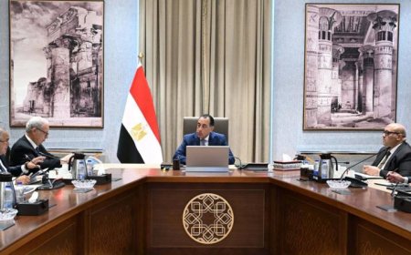 رئيس الوزراء يعزز جهود تنفيذ خطة إعادة هيكلة وحوكمة الشركات الحكومية لتحقيق التنمية الاقتصادية
