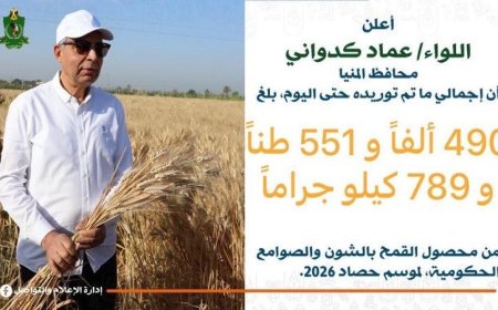 محافظ المنيا يكشف عن تخطي مستهدف توريد القمح بنسبة 15% بقبول أكثر من 490 ألف طن