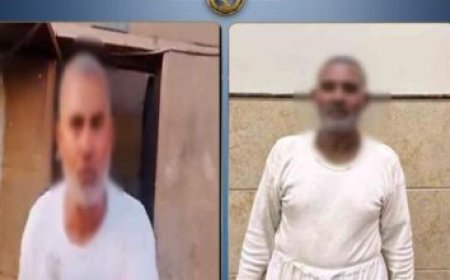 حصيلة مذهلة في الإسكندرية ضبط سلع غذائية فاسدة ومجهولة المصدر في حملة تموينية