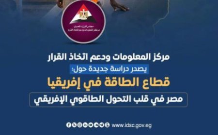 استحواذ الغاز الطبيعي على 81.3% من إنتاج الكهرباء في مصر وفقًا لمعلومات الوزراء