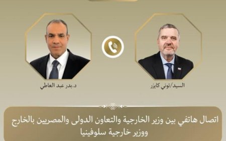 وزير الخارجية يناقش مع نظيره السلوفيني تعزيز العلاقات الثنائية بين البلدين