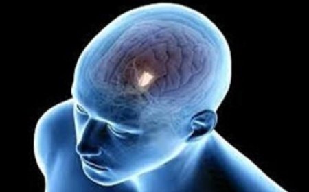 تطورات مثيرة في عالم الطب: عقاقير جديدة لعلاج التهابات الدماغ