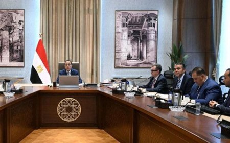 رئيس الوزراء يكشف عن استراتيجية البرنامج التنفيذي الوطني لدعم ريادة الأعمال وإطلاق المبادرات الجديدة