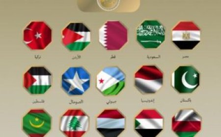 المستشفى الإماراتي العائم في العريش يتسلم خمس حالات طبية فلسطينية من غزة
