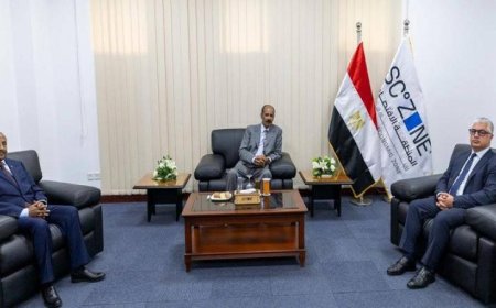 رئيس الهيئة الاقتصادية لقناة السويس يلتقي برئيس دولة إريتريا لتعزيز التعاون الاقتصادي