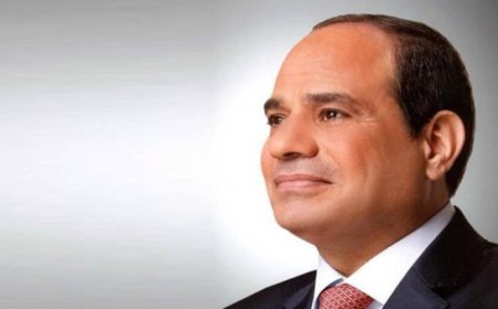 الرئيس السيسي يستقبل غدا رئيس الكونغو الديمقراطية في زيارة تاريخية