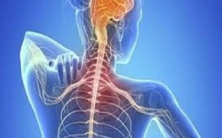 د. سلمى دوارة تؤكد أهمية التكامل بين الطب والهندسة في تحقيق تطور جراحة فعّالة