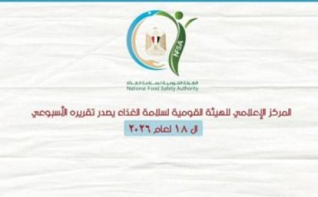 تسوية شاملة للمستحقات لشركاء الاستثمار في قطاع البترول والغاز بحسب بدوي