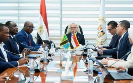 فريد يناقش مع نائب وزير الصناعة والتجارة في تنزانيا سبل تعزيز العلاقات الاقتصادية