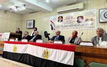 محافظ الغربية يحتفل باليوم السنوي الخامس لتكريم الأطباء