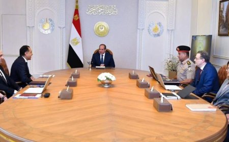 الرئيس السيسي يؤكد على أهمية استمرار جهود تطوير الجهاز الإداري للدولة