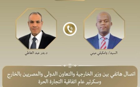 الخارجية تؤكد أهمية تعزيز جهود إزالة عقبات التجارة والاستثمار بين الدول الأفريقية