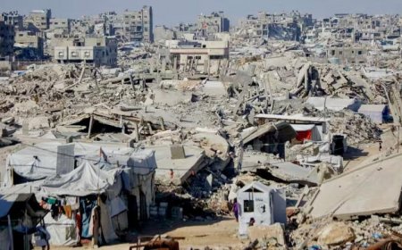 إسرائيل تمنع صحفية فرنسية من تغطية الصراع الفلسطيني الإسرائيلي وترحلها من البلاد