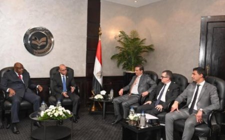 وزير الاستثمار يؤكد قدرة مصر والكونغو الديمقراطية على إنشاء نموذج متكامل ناجح للتعاون الاقتصادي