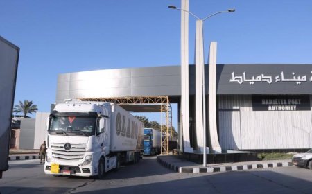 تداول 20 سفينة حاويات وبضائع عامة في ميناء دمياط خلال 24 ساعة