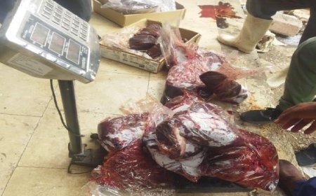 ضبط 85 كيلو من اللحوم الفاسدة و424 منتجاً غذائياً منتهي الصلاحية في حملة رقابية مشددة