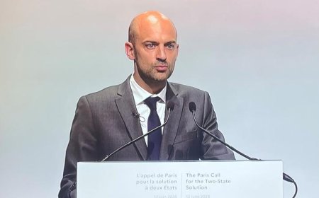فرنسا تعلن عن تقديم توصيات نداء باريس لحل الدولتين إلى زعماء العالم