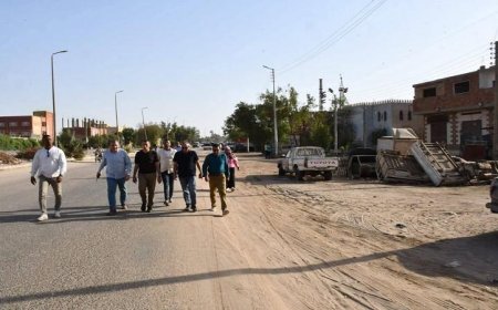 محافظ أسوان يكشف عن مبانٍ حديثة مخالفة في قرية الشطب بمركز دراو
