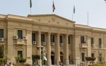 جامعة القاهرة تفتتح برنامج الأنشطة الصيفية المتميز للطلاب