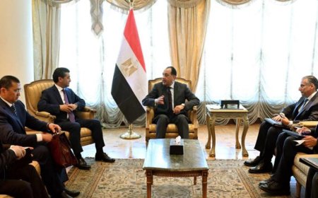 رئيس الوزراء يؤكد أهمية تعزيز التنسيق بين مصر وأوزبكستان في الساحات الدولية