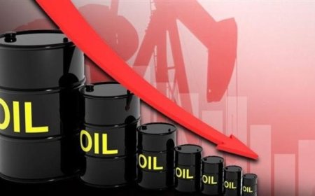انخفاض سعر النفط الكويتي بأكثر من 6 دولارات ليصل إلى 94.84 دولار للبرميل