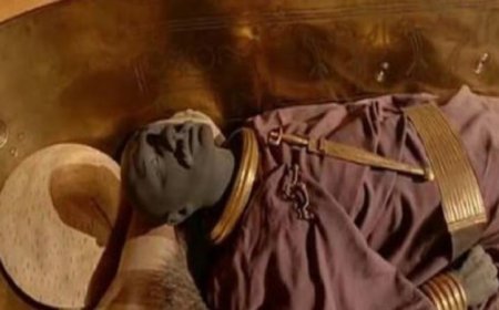 اكتشاف مذهل لقبر ذهبي يعود إلى 25 قرنًا في ألمانيا